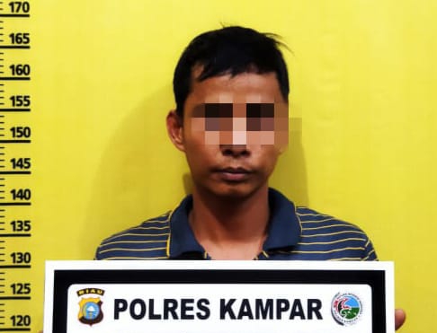 Buron 6 Bulan, Pengedar Narkoba Warga Pekanbaru Ditangkap di Bangkinang