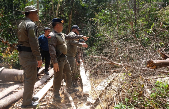 Illegal Logging di Cagar Biosfer Bengkalis, Kapolda Riau: Tindakan Kriminal Harus Dihentikan