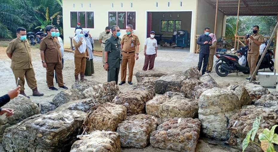 Bupati Mursini Menyelamatkan Petani Karet di Kabupaten Kuansing
