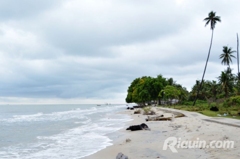 Penambangan Pasir Laut di Pulau Rupat, Begini Dampaknya bagi Ekosistem