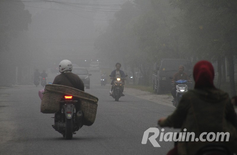 Total 1.419 Hotspot Karhutla Terdeteksi Wilayah Sumatera, Sumsel Tertinggi