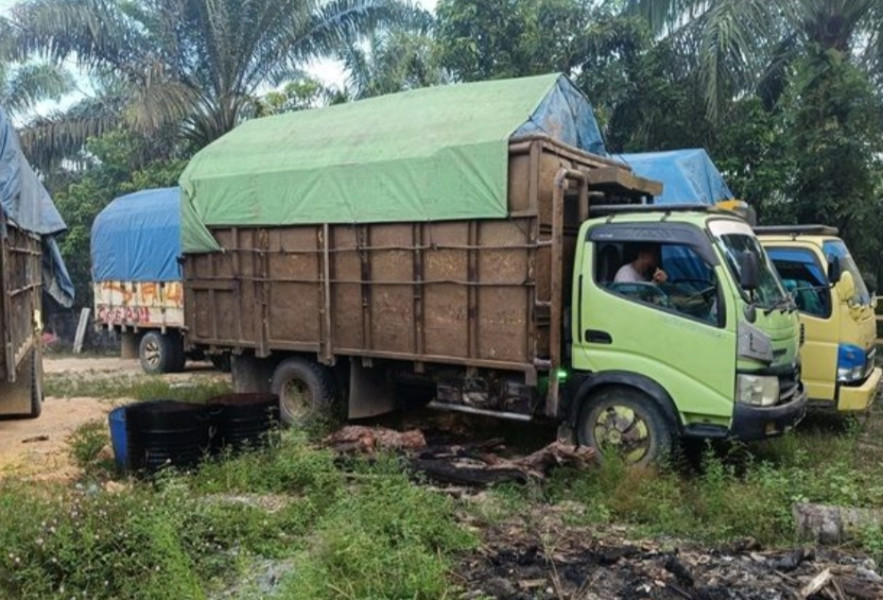 Empat Truk Bermuatan Kayu Ilegal Ditangkap Polda Riau di Lipat Lain Kampar