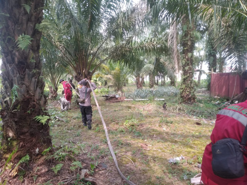 Puluhan Hotspot Karhutla Masih Terdeteksi di 6 Provinsi Sumatera