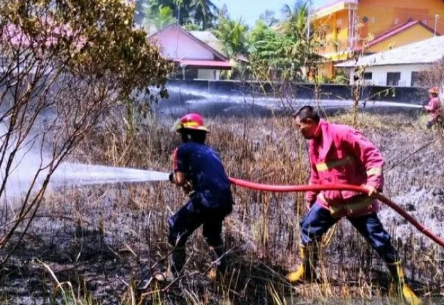 Damkar Pariaman Padamkan 48 Kebakaran Selama 8 Bulan