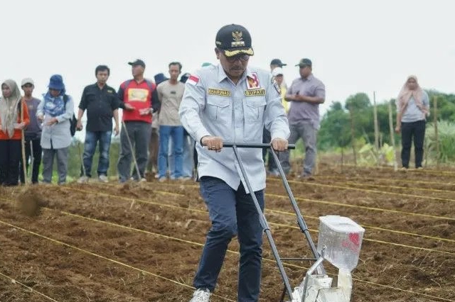 Penanaman Sorgum di Solok Selatan Ditargetkan 9.000 Hektare Lahan 2023
