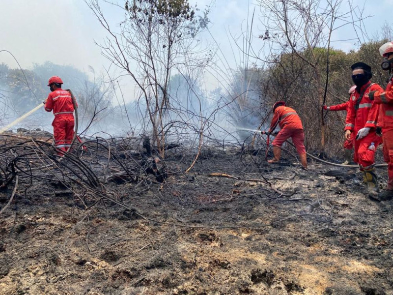 Total 115 Hotspot Karhutla Terdeteksi di Riau, Udara Mulai Tidak Sehat