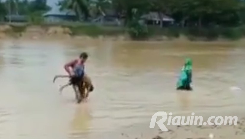 Hingga Malam, Pencarian Bocah yang Tenggelam di Pantai Jai Jai Pangean Terus Dilakukan