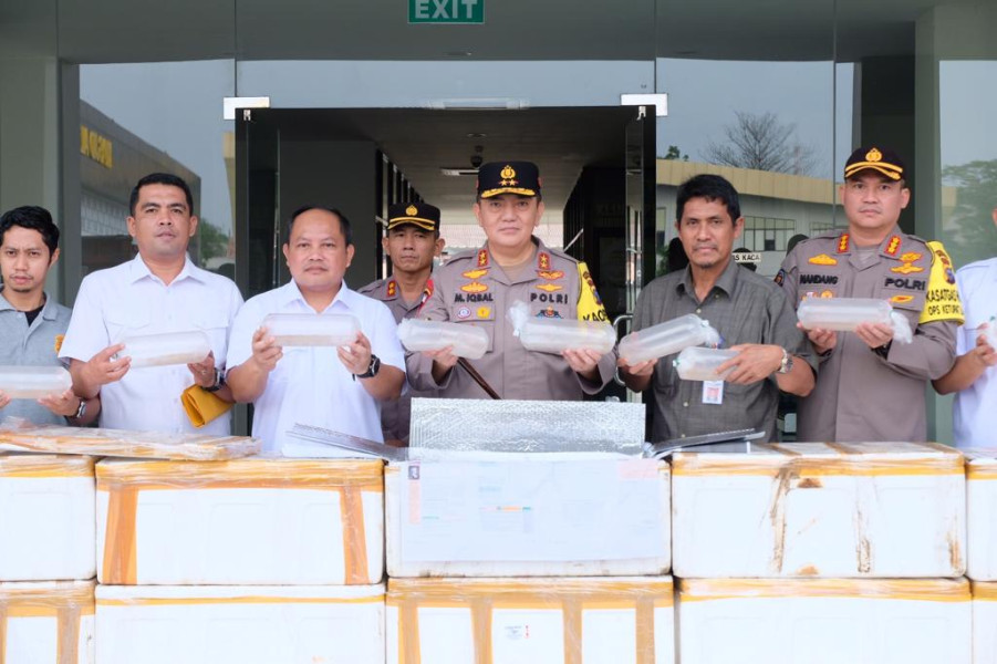 Penyelundupan Benih Lobster Rp61,2 M di Inhil  Terbongkar,  2 Warga Lampung Ditahan