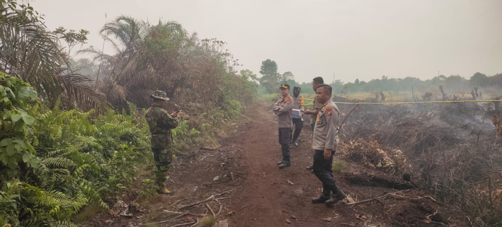 Total 2.401 Hotspot Karhutla Terdeteksi di Sumatera, Didominasi Sumsel