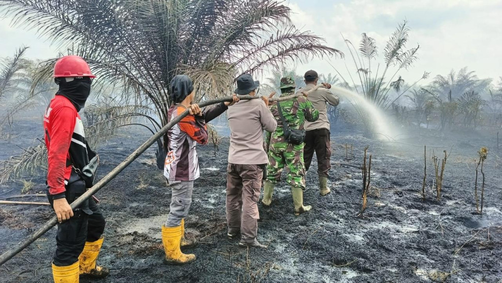 Karhutla Mulai Mengancam Riau, BMKG Deteksi 120 Hotspot di 9 Daerah