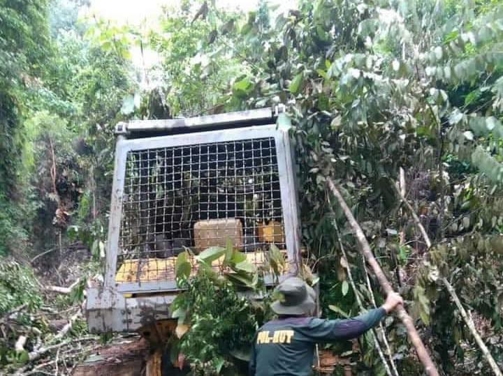 Marak Illegal Logging, Polhut Temukan Satu Unit Buldozer dalam Hutan Bukit Batabuh