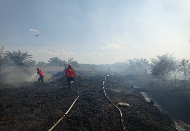 52 Hotspot Terpantau d Riau Sejak Januari, 16 Hektar Lahan Terbakar