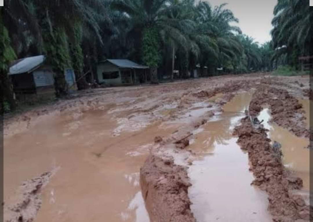LPK Riau Minta Perusahaan Sawit Perbaiki Jalan di Desa Bagan Sinembah Rohil