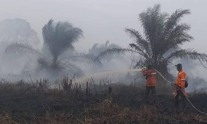 PT DSI di Siak Ditetapkan Sebagai Tersangka Karhutla di Riau