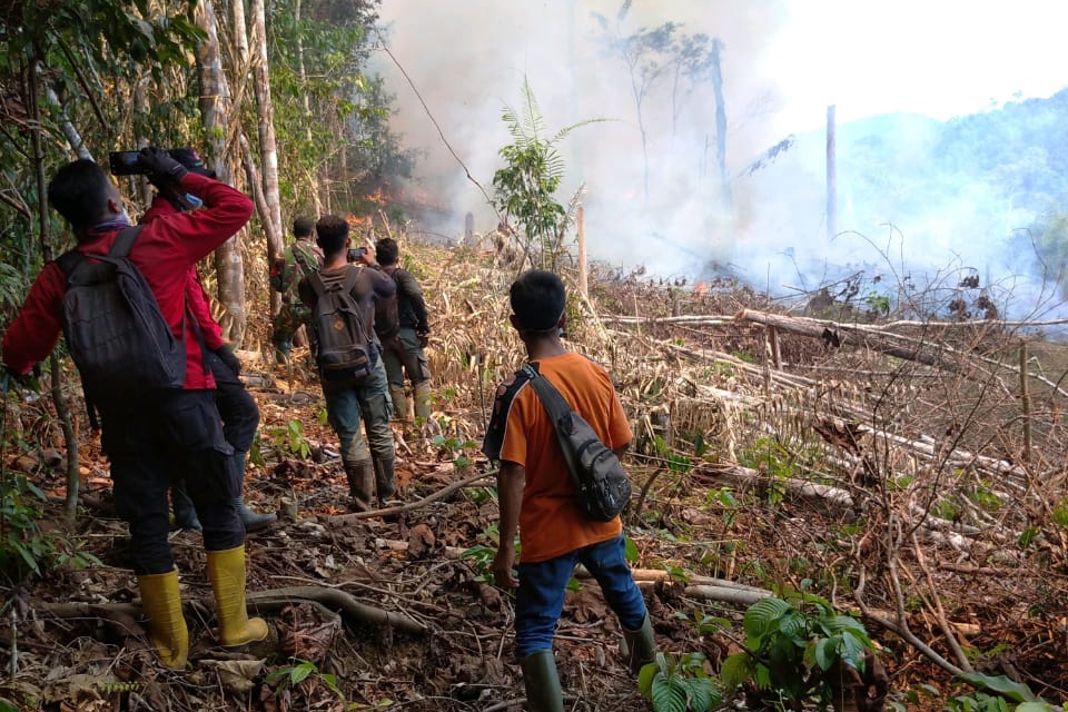 Taman Nasional Bukit Tigapuluh Terbakar, Kepala BPBD Riau: Karena Ada Aktifitas