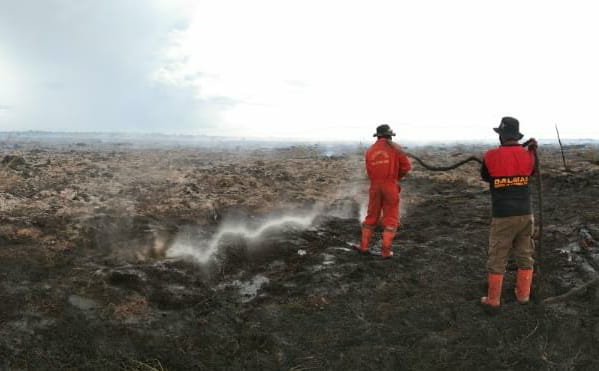 Empat Titik Panas Terdeteksi, Satgas Karhutla Riau Berjibaku Padamkan Kebakaran di Dumai dan Siak