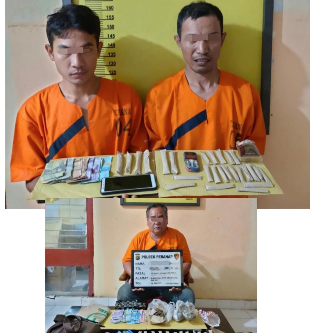 Miliki 310 Gram Ganja Kering, 3 Pria di Inhu Ditangkap Polisi