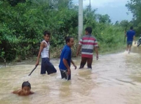 Curah Hujan Tinggi, Ratusan Hektar Areal Pertanian di Inhu Terendam Banjir