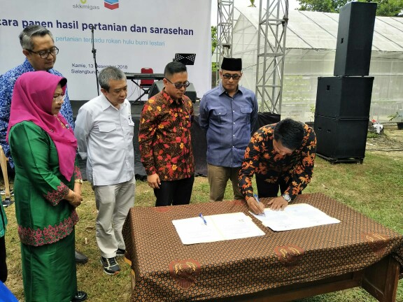 Petani Muda Riau Terima Bantuan Bibit Sapi dari Chevron