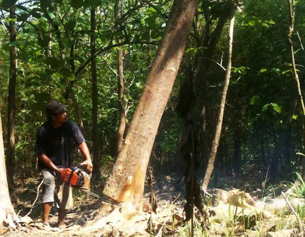 Ini Tanggapan Kapolsek Soal Dugaan Maraknya llegal Logging di Balung XIII Koto Kampar
