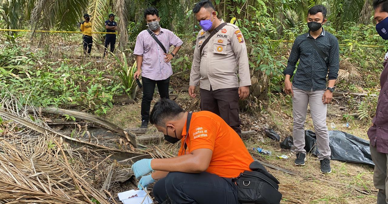 Kepala Terpisah dengan Badan, Warga Temukan Mayat Remaja di Kebun PT PAL Inhu