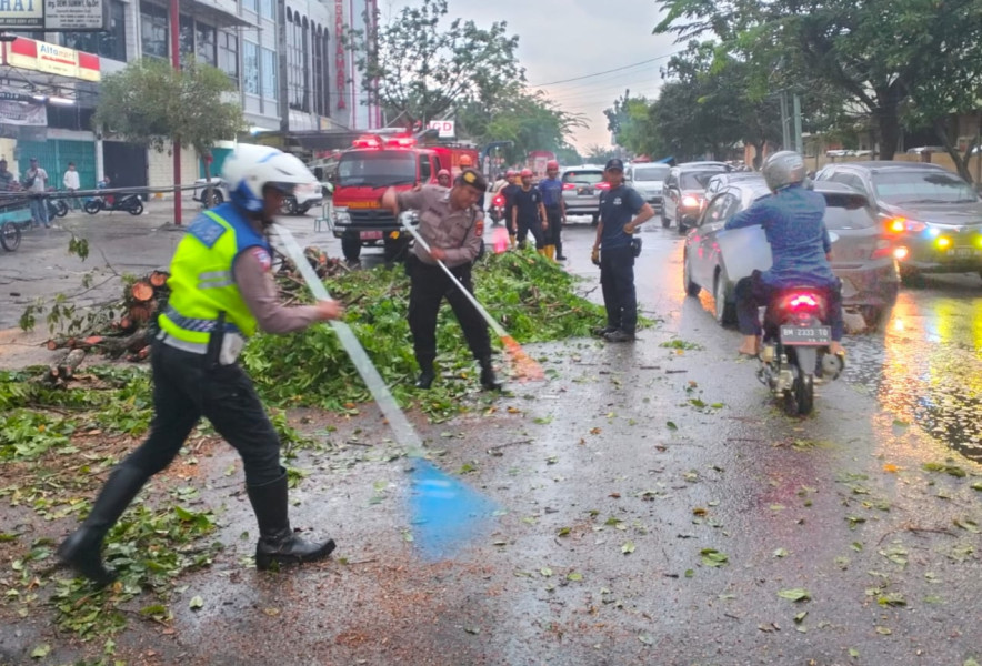 Pohon Tumbang di Ahmad Yani, Polisi Bersihkan Jalan Guna Urai Kemacetan