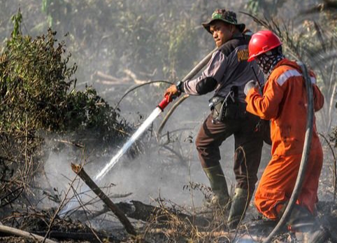 BMKG Deteksi 1.492 Hotspot Karhutla di Sumatera, Kota Pekanbaru Mulai Berkabut