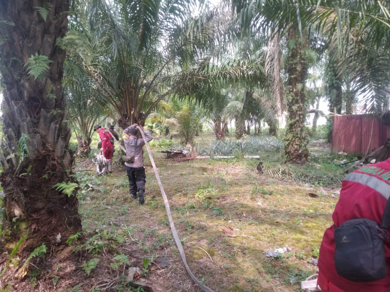 Ratusan Hotspot  Karhutla Terpantau di 8 Provinsi Sumatera, Riau Urutan 5