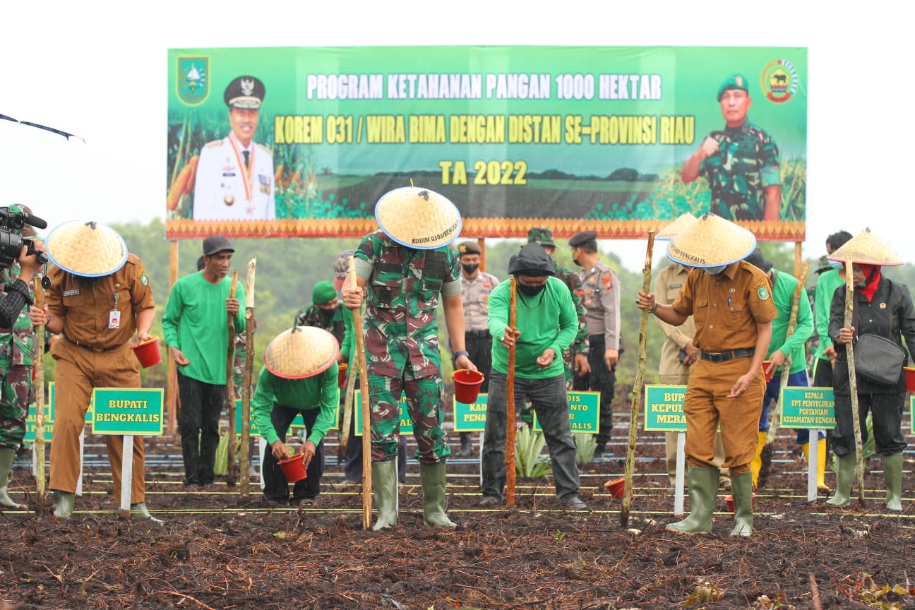 Launching Program Ketahanan Pangan, Dandim 0303 Bengkalis Tanam Bibit Jagung