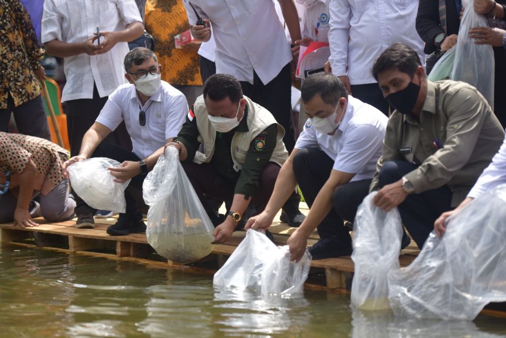 Sekjen Kementerian KKP RI Tabur 95 Ribu Bibit Ikan di Sungai Sanggolan Kampar