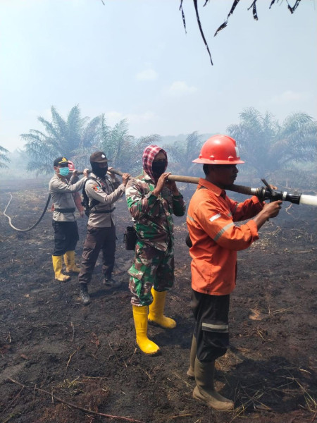 BMKG Deteksi 137 Hotspot Karhutla di 9 Wilayah Sumatera, Riau Terbanyak
