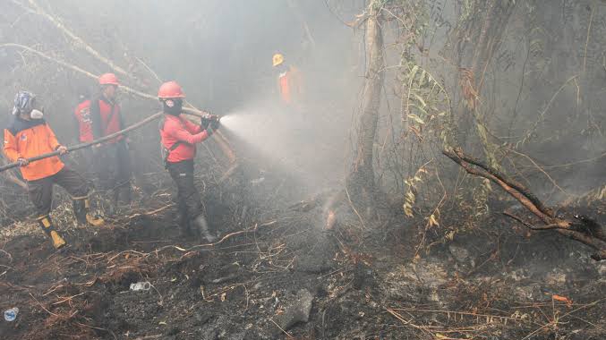 Syamsuar Tetapkan Status Siaga Karhutla di Riau Hingga 31 Oktober 2021