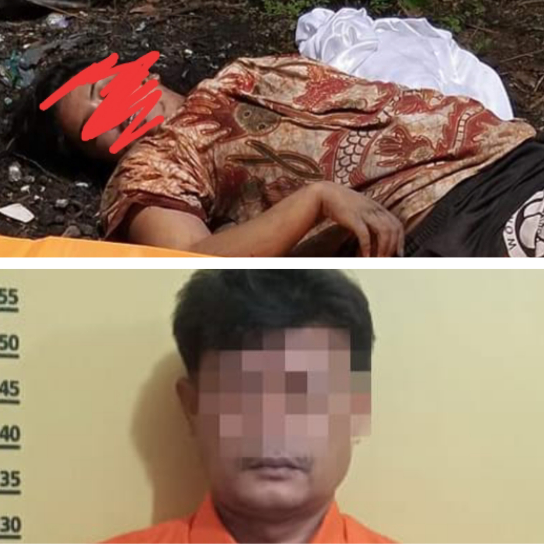 Pembunuh Wanita di Kebun Sawit Ternyata Karyawan PTPN-V Tapung Hulu Kampar