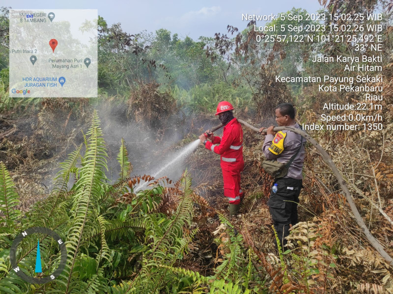 BMKG Deteksi 200 Hotspot Karhutla di Riau