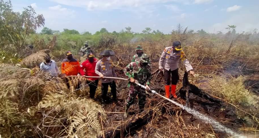 Memasuki Hari Ke-3, Mangga Agni dan Tim Satgas Karhutla Berjibaku Padamkan Api di Kuala Cenaku Inhu
