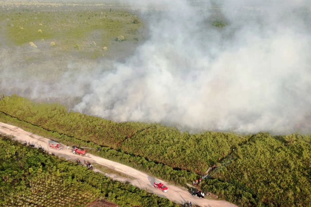 4 Hektare Lahan Gambut di Bengkalis Terbakar