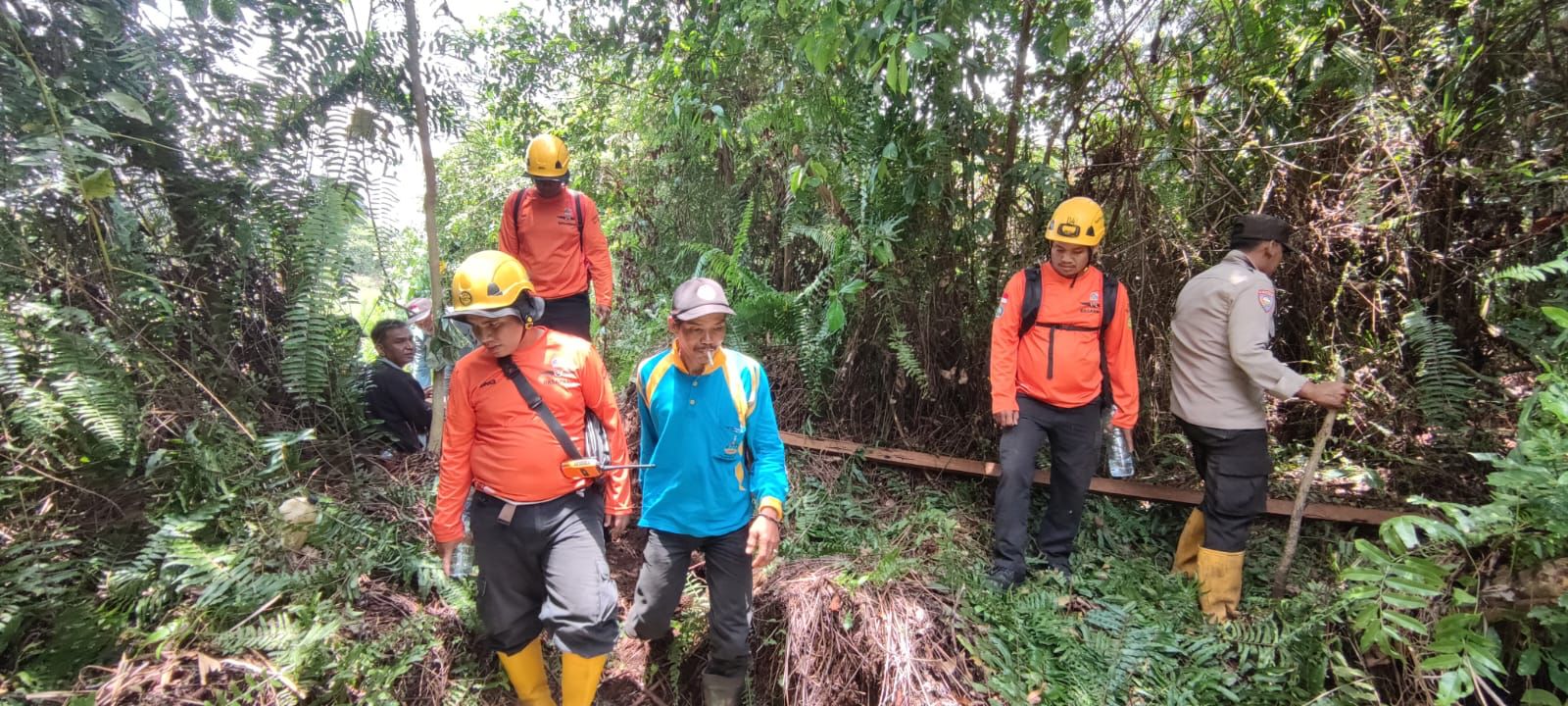 4 Hari Hilang di Hutan Sungai Bakau Rohil, Udin Leno Belum Ditemukan