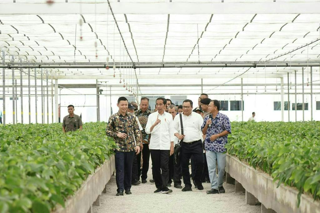 Hasil Produk Ramah Lingkungan, Presiden Puji Teknologi Nursery PT RAPP