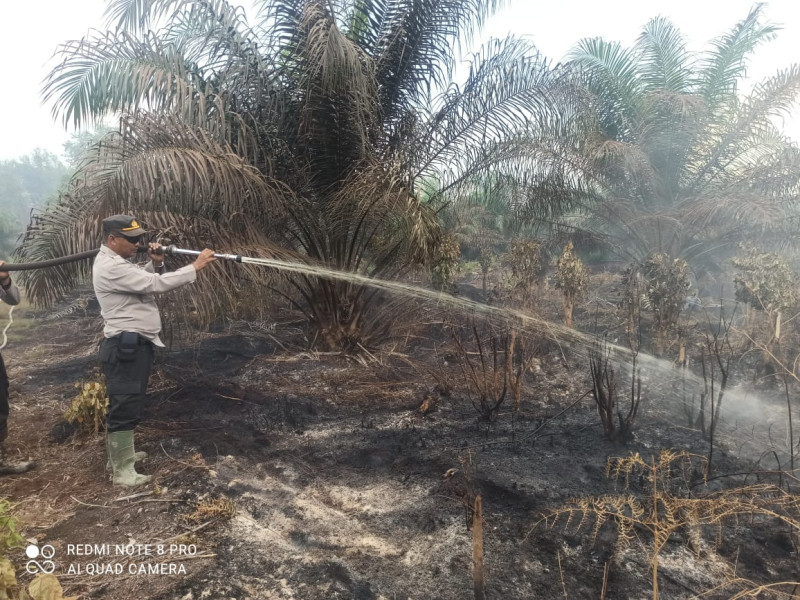 Total 135 Hotspot Karhutla Terdeteksi, 29 Titik Api Berada di Wilayah Riau