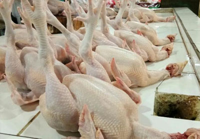 Harga Ayam Potong di Pekanbaru Kembali Stabil
