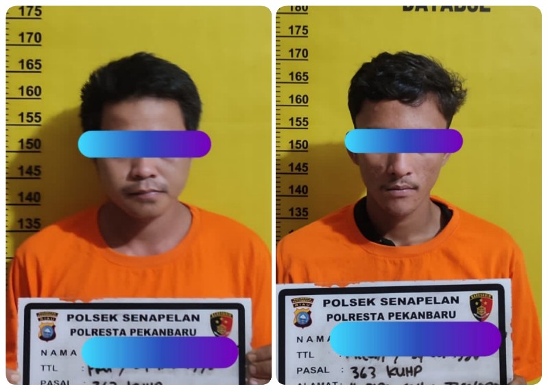 Beraksi di Tiga Lokasi, Komplotan Pencuri di Pekanbaru Diringkus Polisi