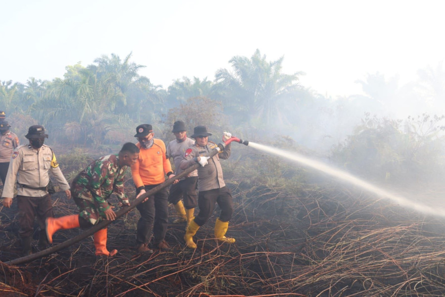 Karhutla Mulai Mengancam, 20 Hektar Lahan Gambut di Pelalawan Terbakar