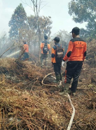 Musim Panas, Tujuh Hektar Lahan Gambut di Batang Gangsal Kembali Terbakar