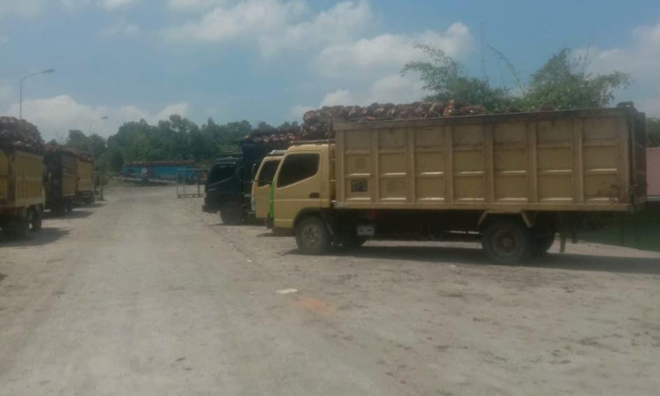 Karyawan Halangi Pemasangan Plang Penyegelan Sementara di PT SIPP Mandau