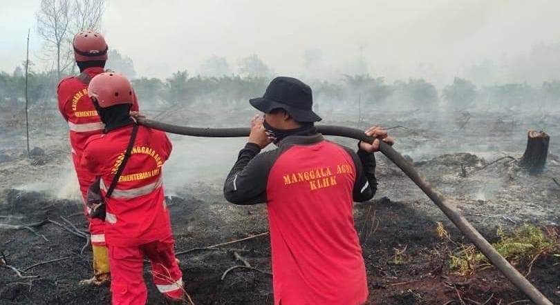 Petugas Berjibaku Padamkan Karhutla di Inhil, Inhu, Bengkalis, Siak dan Dumai