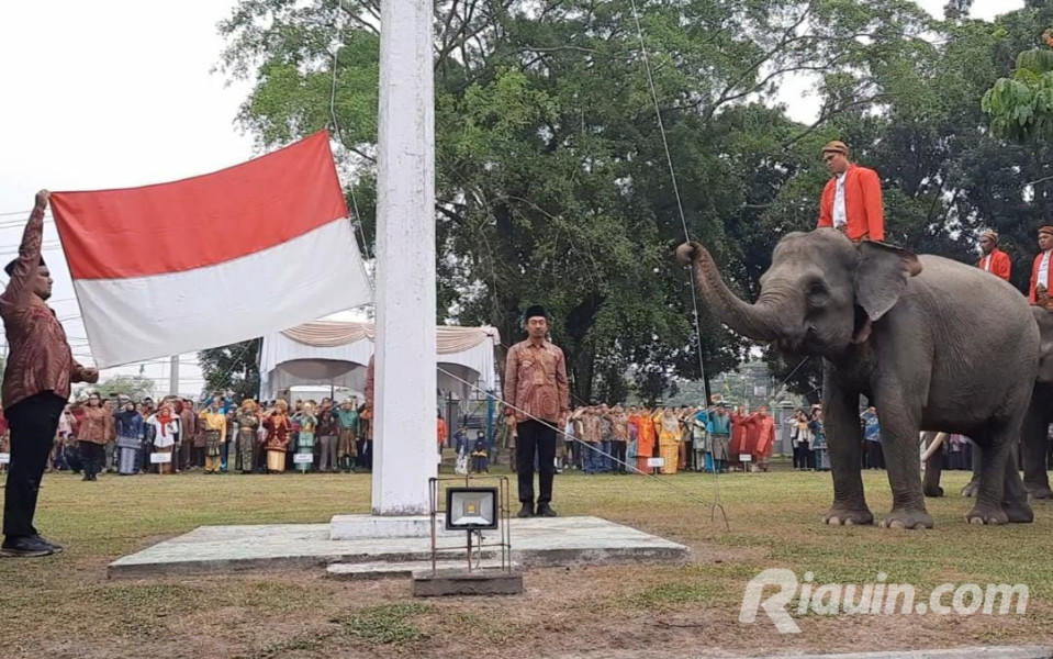 Tiga Gajah di BKSDA Riau Jadi Pengibar Bendera Upacara Kemerdekaan RI 78