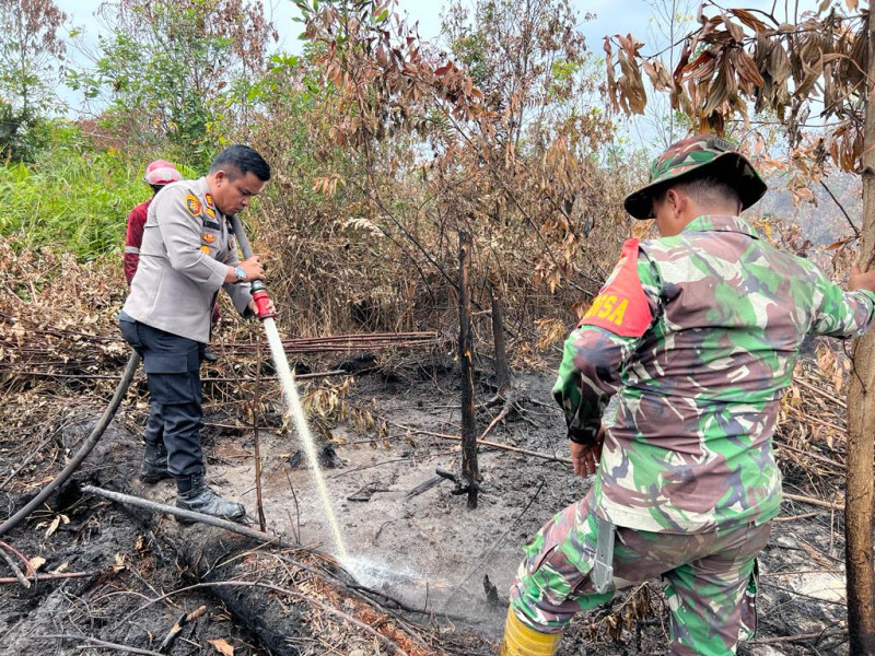 Ratusan Hotspot Karhutla Terdeteksi di Sumatera, 33 Titik di Riau