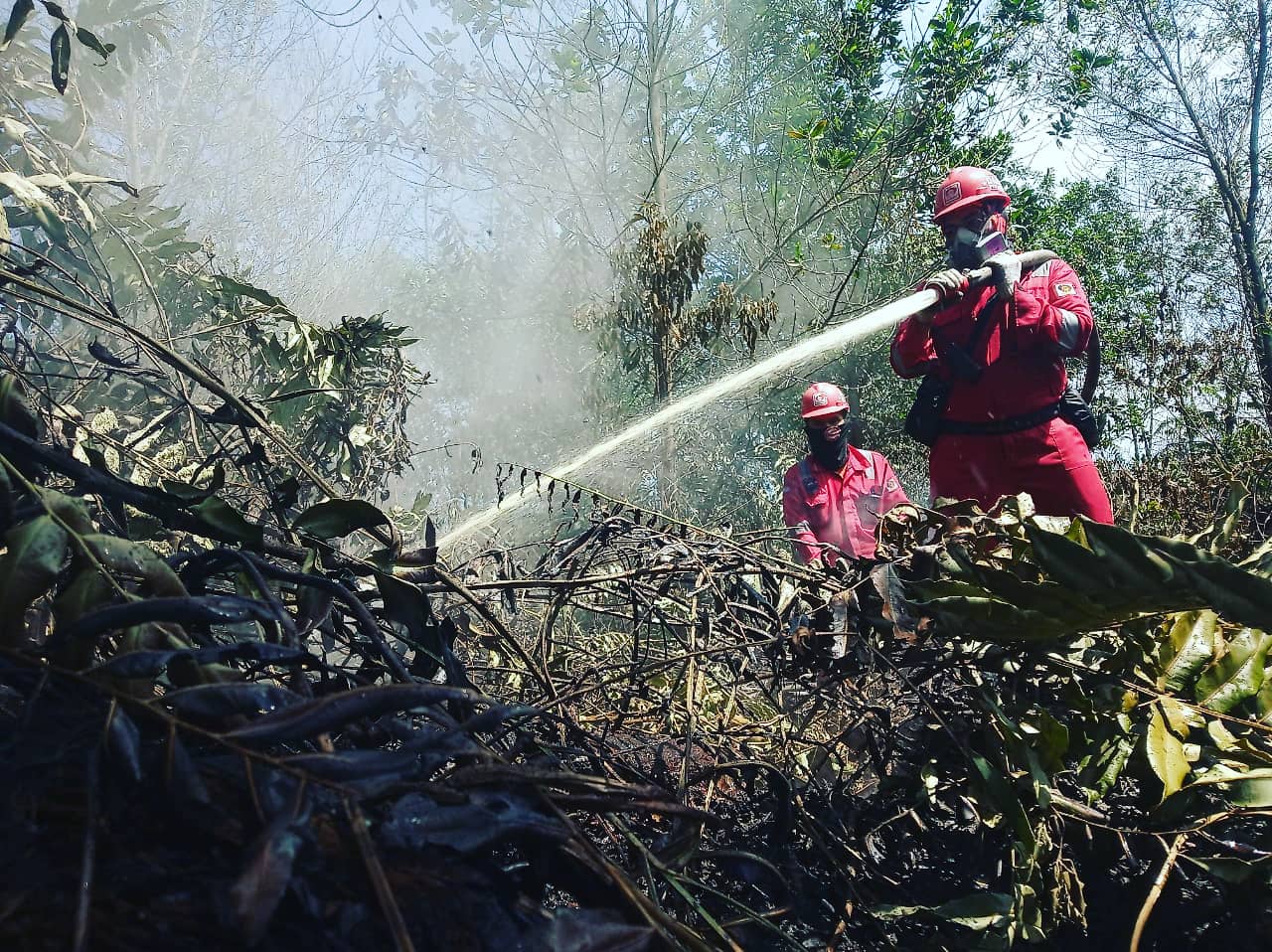 Dirgahayu ke-18, Patriot Manggala Agni Fokus Antisipasi Bencana Ganda 