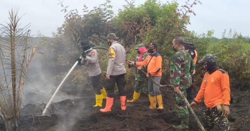 Tim Satgas Berjibaku Padamkan Karhutla di Bengkalis dan Pelalawan