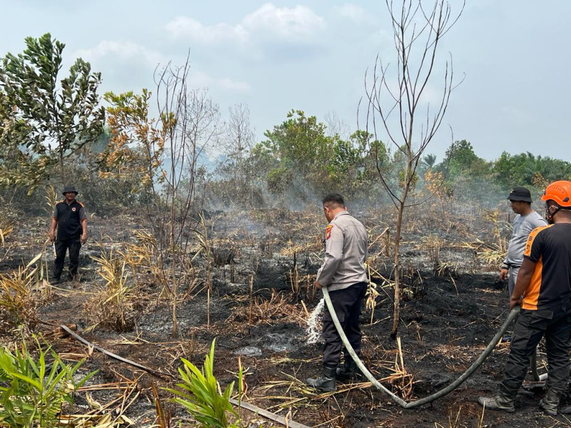 BMKG Catat 1.262 Hotspot Karhutla di Sumatera, Kualitas Udara Pekanbaru Tidak Sehat